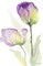 Teal and Lavender Tulips II Poster Print by Lanie Loreth - Item # VARPDX12151